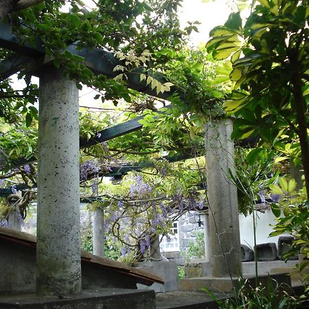 Quinta Das Buganvilias Castelo Branco  외부 사진