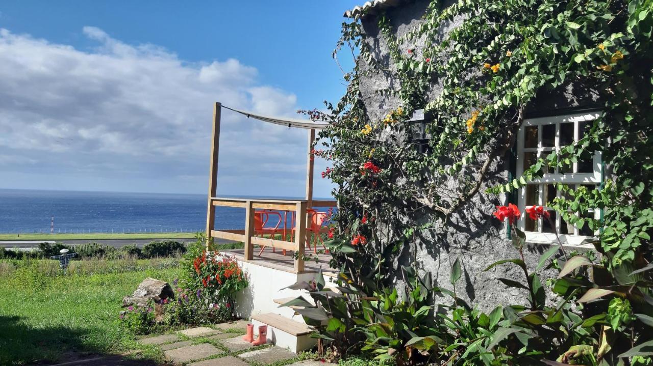 Quinta Das Buganvilias Castelo Branco  외부 사진